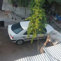زانتیا سفید ۸۶