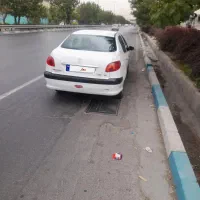 sd 206|خودرو سواری و وانت|تهران, شهرک امید|دیوار