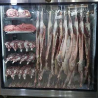 یخچا قصابی دو طرف ویترین