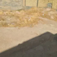 فروش زمین درکرونی محمودآباد