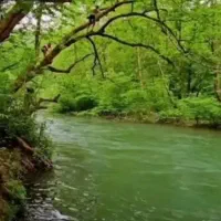 تور گردشگری استان قزوین به شمال کشور
