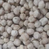 نخود  فلافلی درجه یک