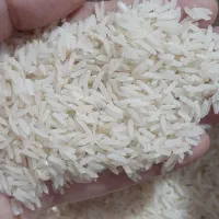 برنج دم سیاه ویسیان