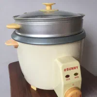 پلوپز بخار پز سانی