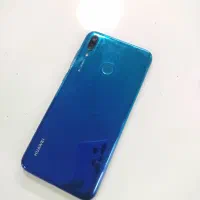 Y7 2019