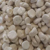 کشک گوسفندی پرچرب واصل