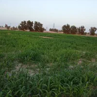 زمین