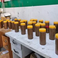 مشکلات گوارشی مشکلات جنسی کبدچرب