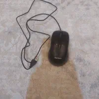 موس باسیم