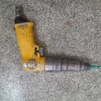 پیچگوشتی بادی