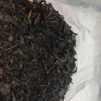 چای تازه بهاره