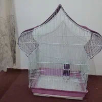 قفس