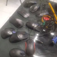 موس
