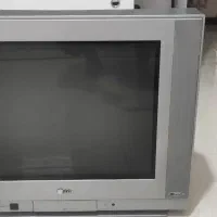 تلویزیون
