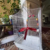 قفس سایز بزرگ