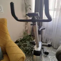 دوچرخه ثابت