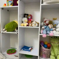 کتابخانه|کتابخانه، شلف، قفسههای دیواری|مشهد, هفت تیر (حافظ)|دیوار