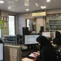 ضمانت ضامن دادگاه و غیره