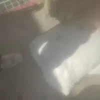 آرد