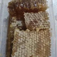 عسل|خوردنی و آشامیدنی|آبیک, |دیوار