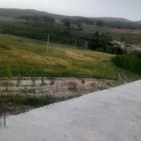 کاه جو