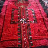 زی استین