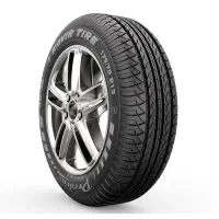 یک جفت لاستیک کویر 18*55*225