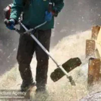 علف زنی باغ،باغچه حیاط درکمارج وغیره ...