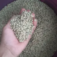 عدس|خوردنی و آشامیدنی|میانه, |دیوار