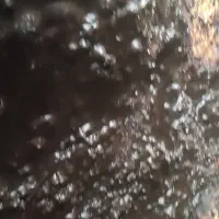 مومنایی کوه خبر صد در صد اصل ب صورت عمده