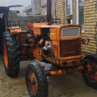 رومانی تمیز وسرحال مالچه