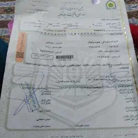 مدارک ماشین کارت ملی کارت بنزین