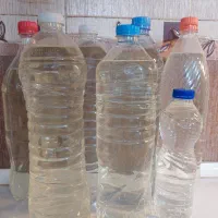 عرق کوت کوته، عرق نعنا، لوبیا چیتی
