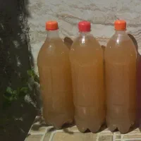 سرکه انگور