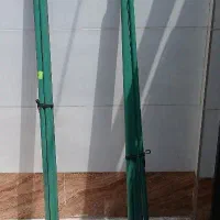 رگال