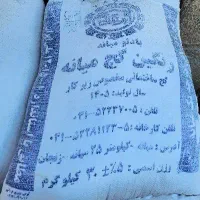 گچ ساختمانی