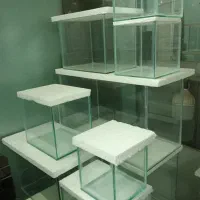 آکواریوم، تراریوم، پالادیوم