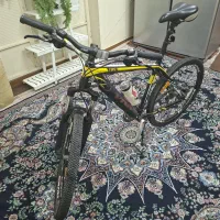 دوچرخه کوهستانی ویوا (اصلی)