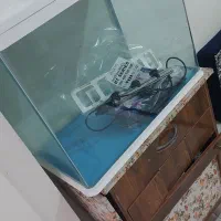 آکواریوم نو نو آکبند