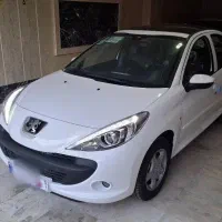 207 پانا دنده ای