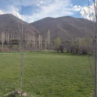 زمین-در-بلده