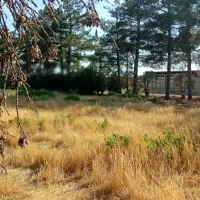 زمین برای گلخانه پرورش سبزی خارجی