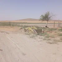 فروش بیل رومانی