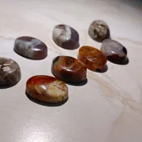 سنگ شجر دریایی