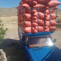 کاه|عمدهفروشی|حمیل, |دیوار
