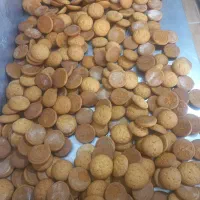 تولید و پخش کلوچه