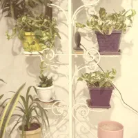 پایه گل فلزی