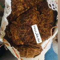 بنیاد پلنگی درجه 1