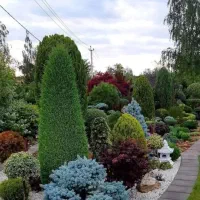 فضا سازی و باغبانی‌