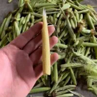 بچه بلال مخصوص ترشی